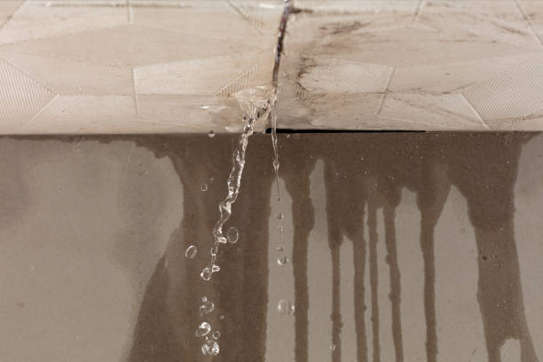 Professional Structural Drying technician working in Charlotte, MI